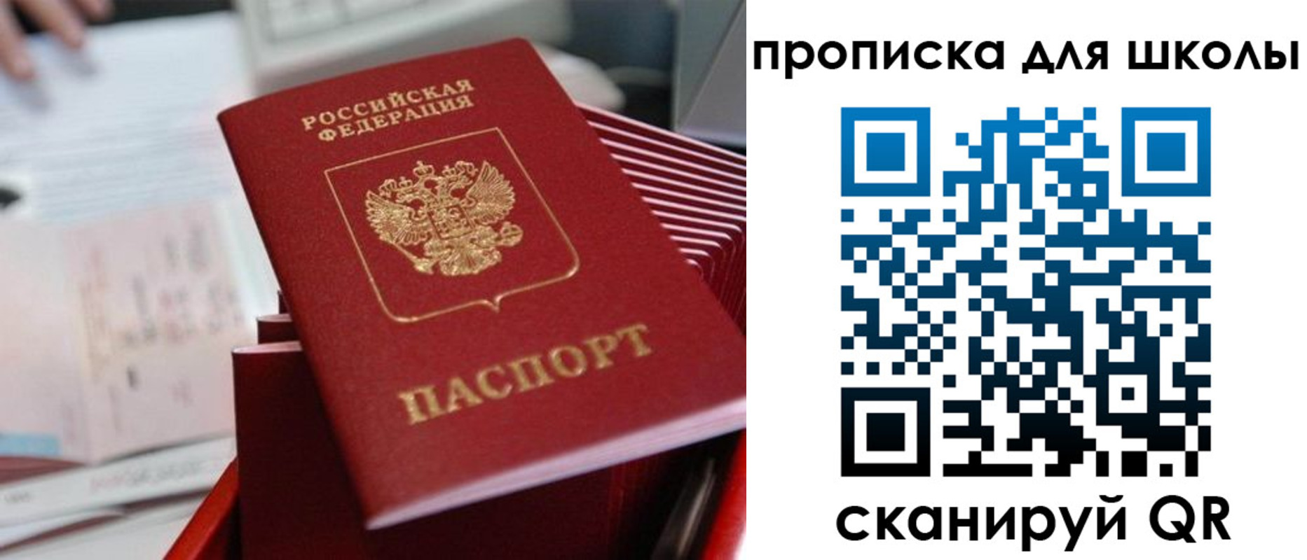 прописка для школы в Жирновске
